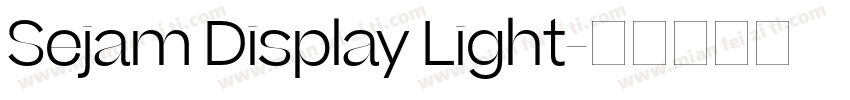 Sejam Display Light字体转换
